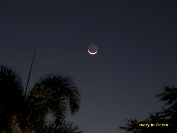 Crescent moon in the morning sky 08-17-2020