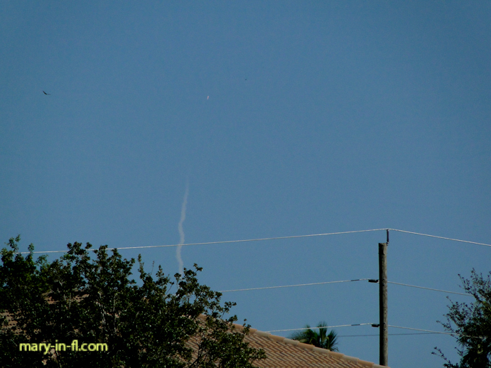 SpaceX launch 11-11-2019 as seen in Fort Myers, FL.   The small white object above the contrail appears to be the rocket's second stage!